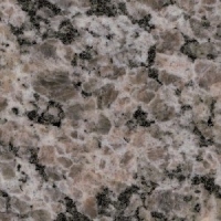 Graphite Brown