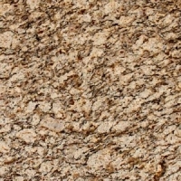 Santa Cecilia