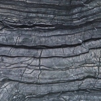 Silver Wave