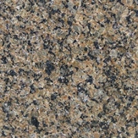 Tropic Brown