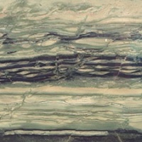 Verde Bamboo