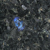 Volga Blue