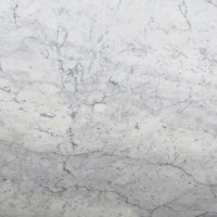 Bianco Carrara Honed