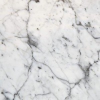 Bianco Carrara Venato