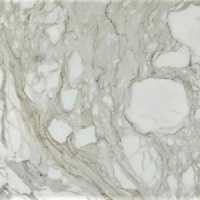 Calacatta Bettogli