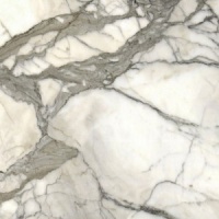 Calacatta Borghini Extra