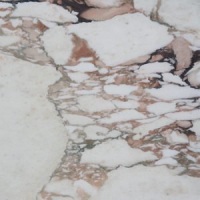 Calacatta Vagli Oro