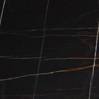 Sahara Noir