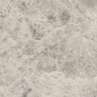 Silver Galaxy