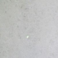 Vietnamese White