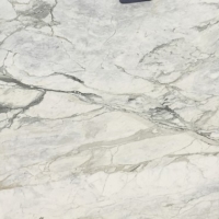 White Follonical