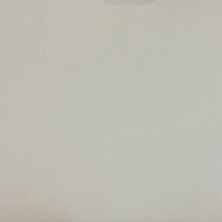 Bianco Snow by Bloomstone