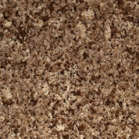 Chocolate Truffle by Caesarstone