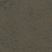 Gris Amazon by Silestone