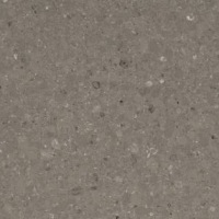 Shitake by Caesarstone