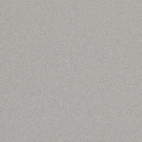 Ash Grey 535 by Quartz Forms