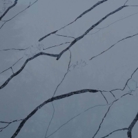 Statuario Venato by London Quartz Stone
